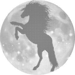  PontPöttyöző - Ló körvonala a Holdon Méret: 50x50cm, Keretezés: Műanyagtáblával, Szín: Fekete