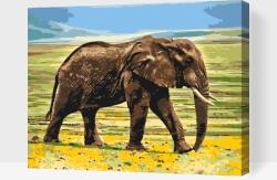 Festés számok szerint - Szafari elefánt Méret: 40x50cm, Keretezés: Fatáblával