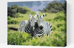 Festés számok szerint - Szafaris zebrák Méret: 40x50cm, Keretezés: Fatáblával