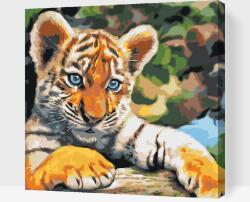  Festés számok szerint - Tigriskölyök Méret: 50x50cm, Keretezés: Műanyagtáblával