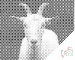  PontPöttyöző - Fehér kecske Méret: 30x40cm, Keretezés: Műanyagtáblával, Szín: Kék