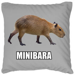 printfashion Capybara család - Minibara - Párnahuzat, Díszpárnahuzat - Szürke (13855160)