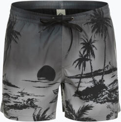 Quiksilver Férfi Quiksilver Everyday Paradise Volley 15"-os úszónadrág szürke EQYJV03999-KVJ6