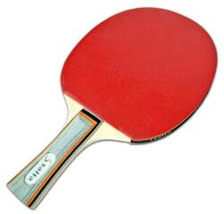 Salta Ping pong ütő Racket, Salta