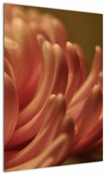 Mivali Tablou cu detailu florii, dintr-o bucată 50x70 cm (V021160V5070)