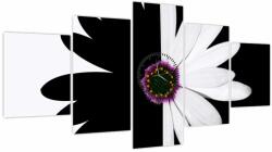 Mivali Tablou - Floare, alb- negru (cu ceas) (V023685V15080C)
