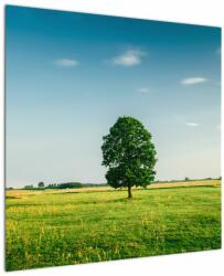 Mivali Tablou cu copaci pe luncă, dintr-o bucată 70x70 cm (V021171V7070)