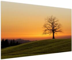 Mivali Tablou cu apus de soare pe o luncă, dintr-o bucată 150x100 cm (V020919V150100)