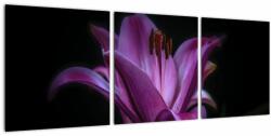 Mivali Tablou crinul, din trei bucăți 90x30 cm (V021729V9030)
