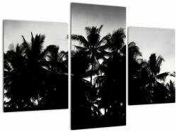 Mivali Tablou alb negru - palmieri, din trei bucăți 90x60 cm (V021530V90603PCS)