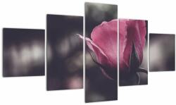 Mivali Tablou - Detaliu florii de trandafir, din cinci bucăți 125x70 cm (V022091V12570)