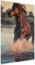 Mivali Tablou - Cal care aleargă, dintr-o bucată 60x90 cm (V023841V6090)