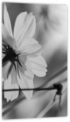 Mivali Tablou - Flori alb-negru, dintr-o bucată 20x30 cm (V023782V2030)