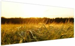 Mivali Tablou iarba cu rouă, dintr-o bucată 250x125 cm (V020584V250125)