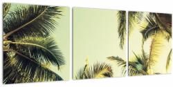 Mivali Tablou - Palmieri de cocos, din trei bucăți 90x30 cm (V023328V9030)