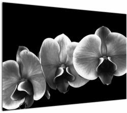 Mivali Tablou floare de orhidee, dintr-o bucată 100x70 cm (V022015V10070)