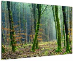 Mivali Tablou cu pădure, dintr-o bucată 90x60 cm (V020904V9060)