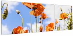 Mivali Tablou cu macii, din trei bucăți 120x40 cm (V020407V12040)