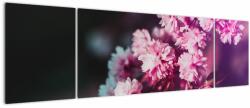Mivali Tablou cu florile copacilor, din trei bucăți 170x50 cm (V020156V17050)