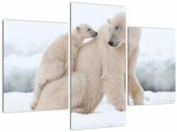 Mivali Tablou - Urs polar, din trei bucăți 90x60 cm (V022334V90603PCS)