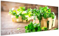 Mivali Tablou cu menta proaspătă, dintr-o bucată 250x125 cm (V020703V250125)
