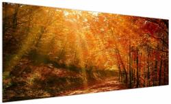 Mivali Tablou cu pădurea în toamnă, dintr-o bucată 250x125 cm (V021203V250125)