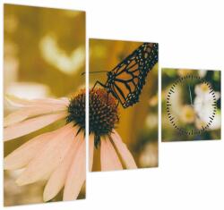 Mivali Tablou cu fluture pe floare (cu ceas), din trei bucăți 90x70 cm cu ceas (V021201V9070C)