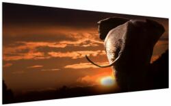 Mivali Tablou cu elefant, dintr-o bucată 200x100 cm (V020517V200100)