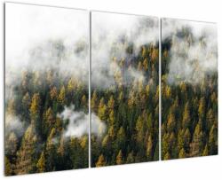 Mivali Tablou - Pădure în nori, din trei bucăți 120x80 cm (V022666V120803PCS)