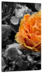 Mivali Tablou cu floare, dintr-o bucată 20x30 cm (V021950V2030)