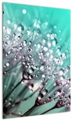 Mivali Tablou - planta cu rouă, dintr-o bucată 50x70 cm (V020507V5070)