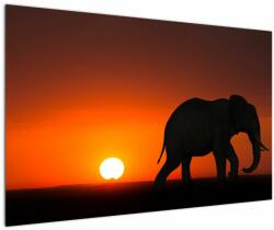 Mivali Tablou cu elefant în apus de soare, dintr-o bucată 120x80 cm (V021976V12080)