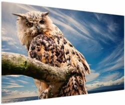 Mivali Tablou cu bufnița, dintr-o bucată 150x100 cm (V020575V150100)