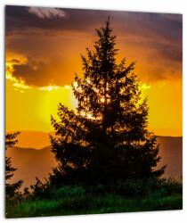 Mivali Tablou - coniferi, dintr-o bucată 30x30 cm (V020674V3030)
