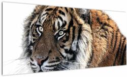 Mivali Tablou cu tigrul, dintr-o bucată 100x40 cm (V021143V10040)