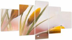 Mivali Tablou - Flori de primăvară, din cinci bucăți 150x80 cm (V023870V150805PCS)