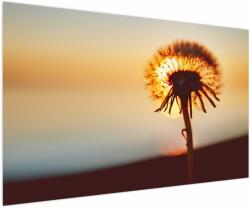 Mivali Tablou - Păpădie la apus de soare, dintr-o bucată 150x100 cm (V022567V150100)