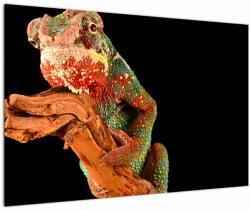 Mivali Tablou cu cameleon pe creangă, dintr-o bucată 90x60 cm (V021125V9060)