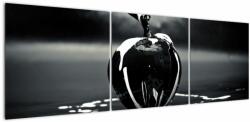 Mivali Tablou cu mărul negru, din trei bucăți 150x50 cm (V021233V15050)