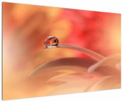 Mivali Tablou picăturii de rouă pe floare, dintr-o bucată 120x80 cm (V022158V12080)