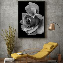 Mivali Poster - Floare de trandafir, mărimea 30x30 cm (S040039S3030)