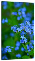 Mivali Tablou cu flori albastre, dintr-o bucată 20x30 cm (V020377V2030)
