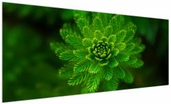 Mivali Tablou cu coniferi, dintr-o bucată 250x125 cm (V020960V250125)