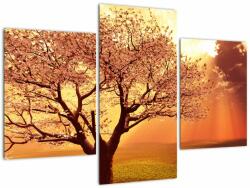Mivali Tablou cu razele lui Dumnezeu, din trei bucăți 90x60 cm (V021190V90603PCS)