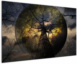 Mivali Tablou - Cerul enigmatic, dintr-o bucată 120x80 cm (V021560V12080)