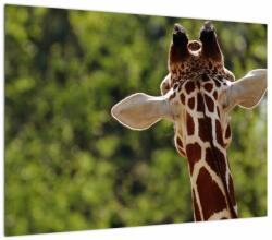 Mivali Tablou cu girafă din spate, dintr-o bucată 70x50 cm (V020638V7050)