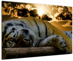 Mivali Tablou tigrul dormind, dintr-o bucată 90x60 cm (V020408V9060)