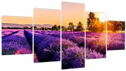Mivali Tablou cu câmp de lavanda (cu ceas), din cinci bucăți 150x80 cm cu ceas (V020540V15080C)