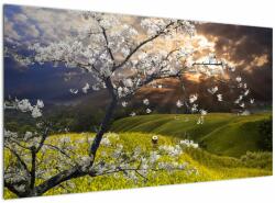 Mivali Tablou - Peisaj cu pomul înflorit, dintr-o bucată 120x70 cm (V023369V12070)