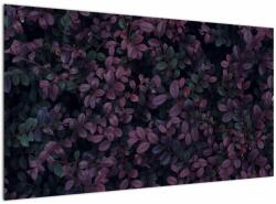 Mivali Tabou - Frunze roșu închis, dintr-o bucată 120x70 cm (V023084V12070)